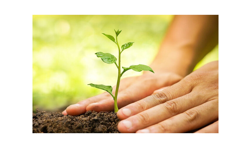  آغاز طرح مردمی کاشت یک میلیارد درخت از ۱۱ آذر