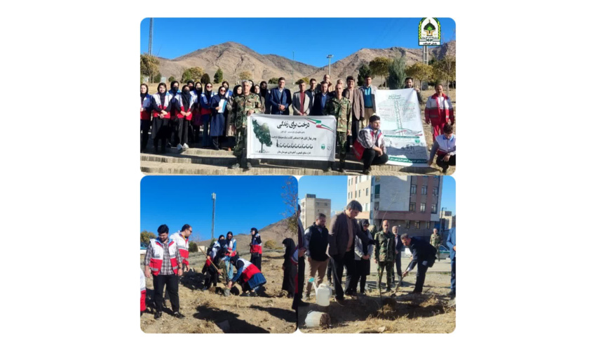 آغاز رسمی کاشت سراسری یک میلیارد درخت در شهرستان ملایر 