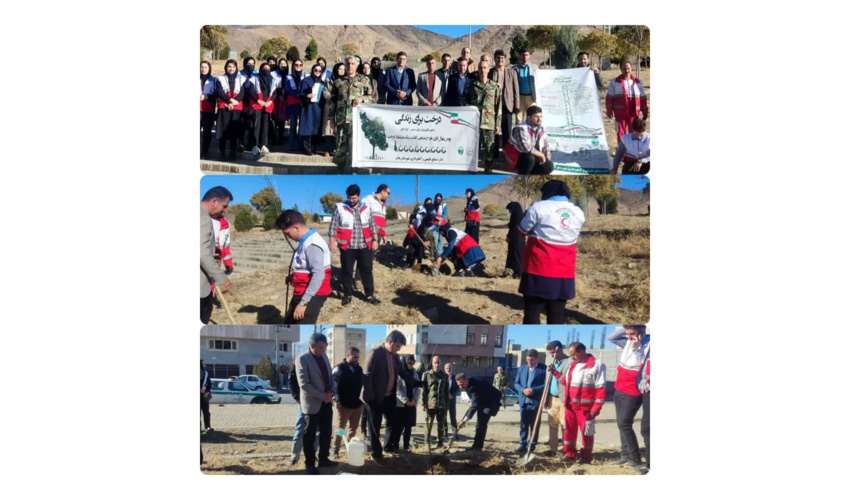 طرح مردمی کاشت یک میلیارد درخت در شهرستان کبودرآهنگ  اجرا شد 