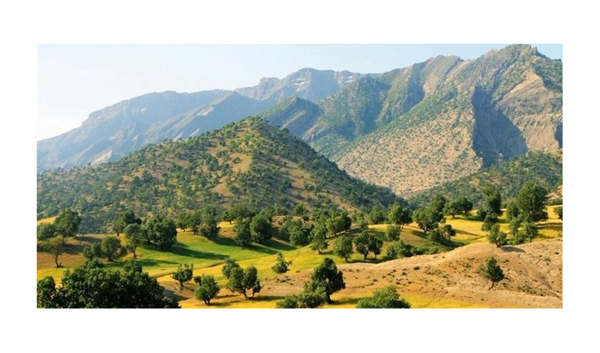 یکصد هکتار از عرصه پارک جنگلی گیان  نهاوند بذرکاری شد