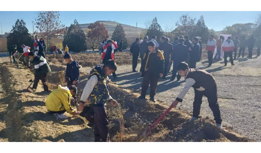 کاشت گیاهان دارویی در مراتع روستای قایش رزن با مشارکت دانش آموزان 