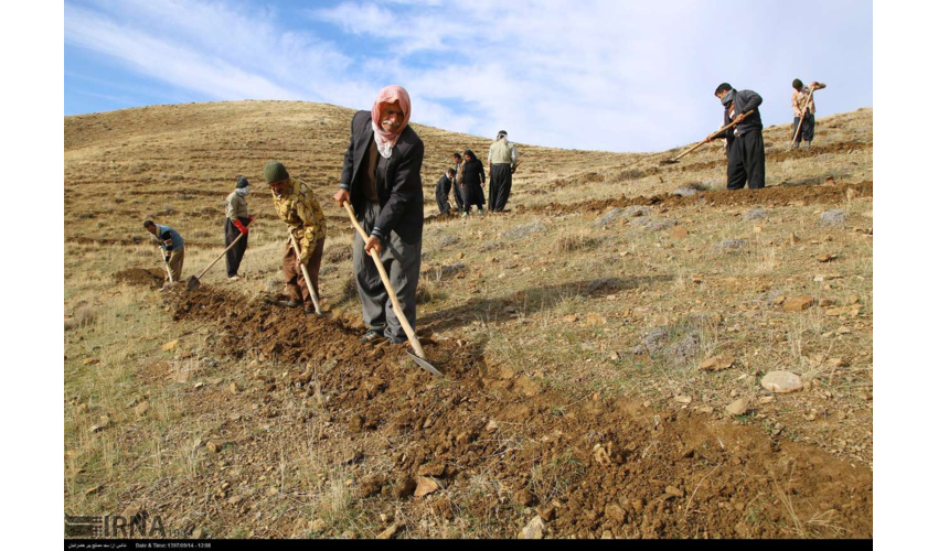 اجرای طرح‌های احیا و اصلاح مراتع در ۲ هزار و ۱۰۰هکتار از اراضی ملی همدان