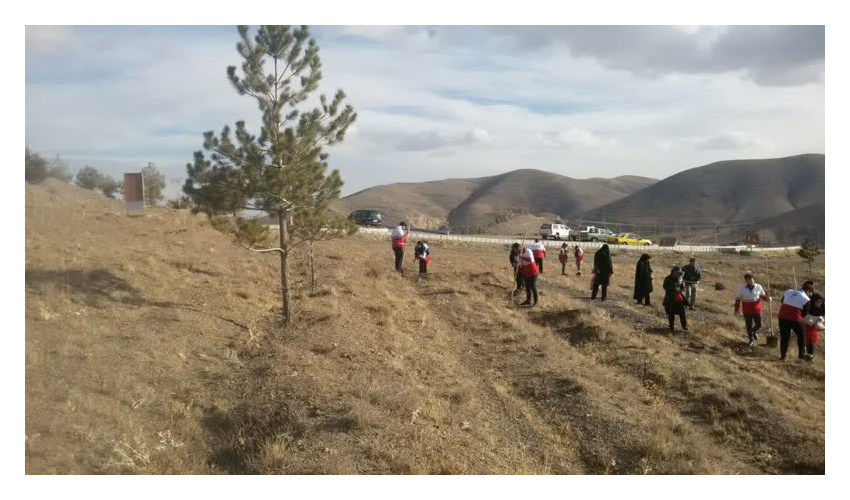 نهال کاری و بذر پاشی در 12 هکتار در پارک جنگلی سداکباتان شهرستان همدان 