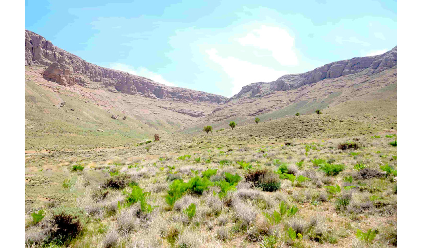 100درصد مراتع همدان ممیزی شد