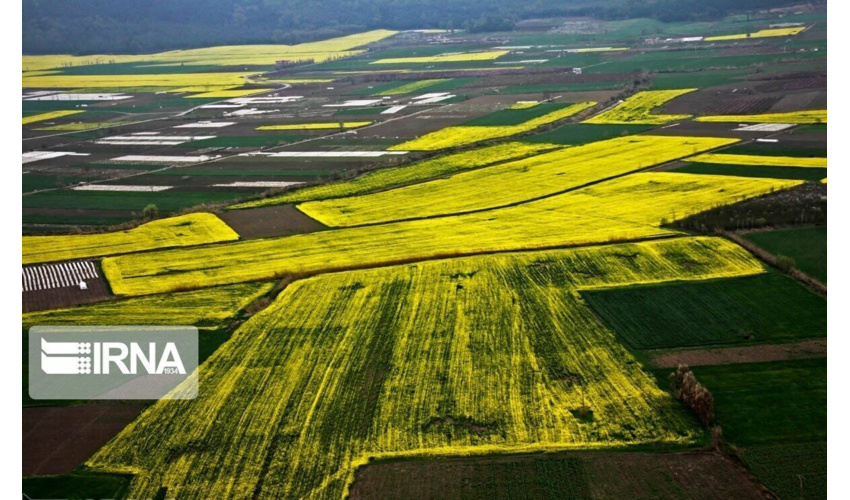 پرونده رفع تداخل اراضی ملی  همدان نیمه نخست سال آینده بسته می‌شود