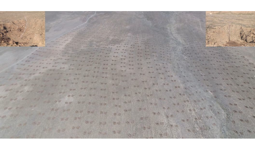 نهال کاری 270 هکتار از عرصه های منابع ملی روستای تجرک شهرستان کبودر آهنگ 