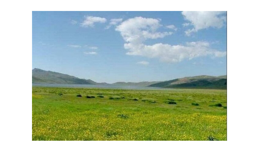 احاله مدیریت ۲ طرح مرتع‌داری در شهرستان بهار