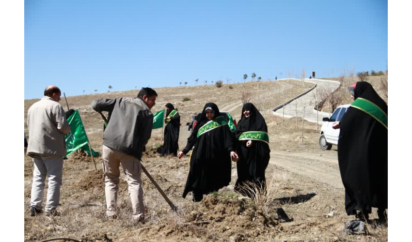 کاشت دو هزار اصله نهال در پارک جنگلی ساحلی اکباتان همدان 