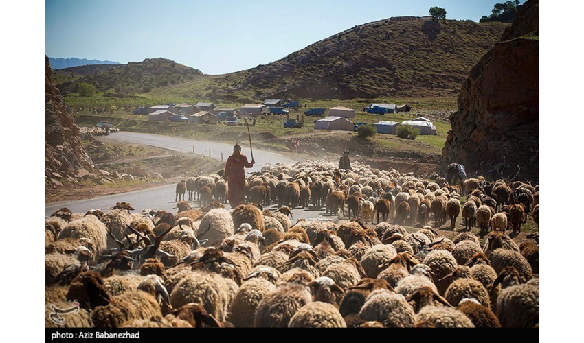 پانزدهم اردیبهشت ماه، زمان ورود عشایر به استان همدان است