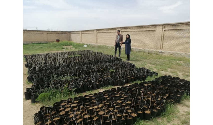 ایجاد نهالستان دانش آموزی در مدرسه شهید سهرابی شهرستان فامنین