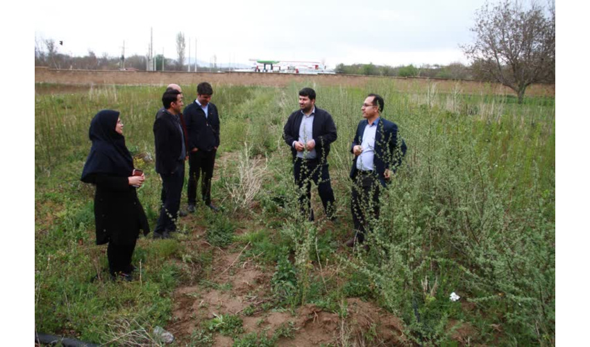 بازدید ناظر مردمی طرح کاشت یک میلیارد درخت از وضعیت و روند تولید نهال در استان همدان