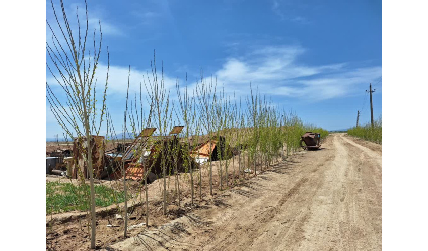 بازدیدا ز مناطق کاشت نهال در شهرستان کبودراهنگ