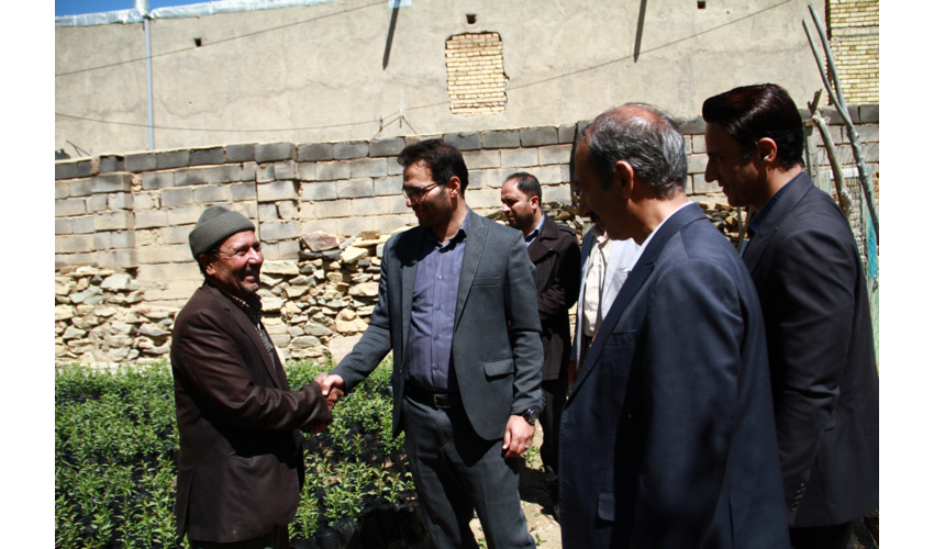 نهالستان عمو موسی،تولید 5 هزار نهال بادام در حیاط خانه روستایی