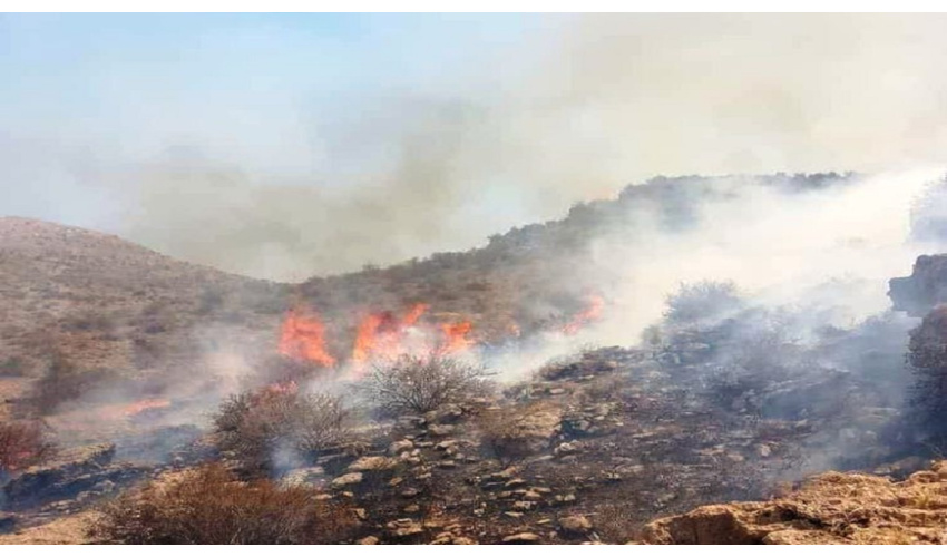 وجود ۱۴ نقطه بحرانی حریق در اراضی ملی بهار
