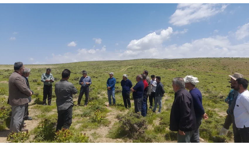 برگزاری کارگاه آموزشی میدانی اجرای عملیات بیولوژیک در مراتع شهرستان رزن
