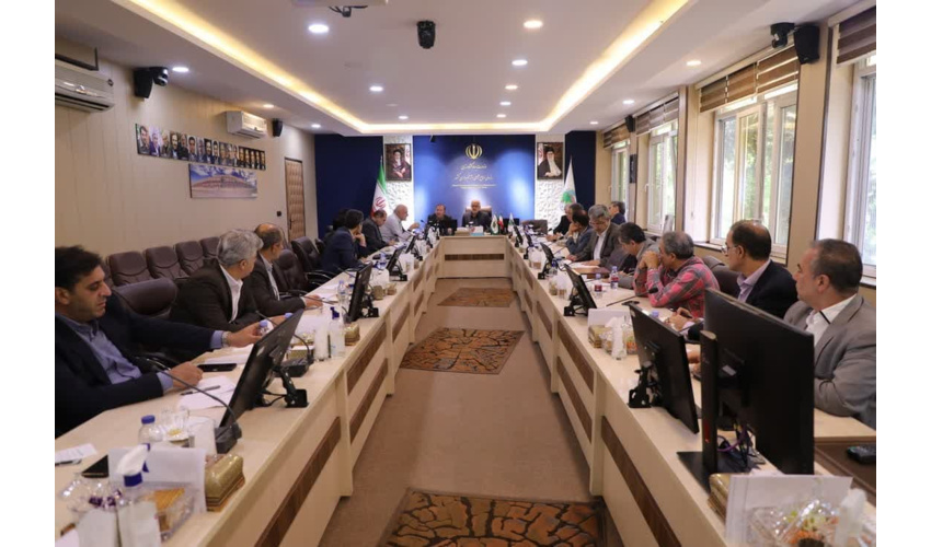  مهمترین وظیفه سازمان منابع طبیعی، حفاظت از عرصه های منابع طبیعی است