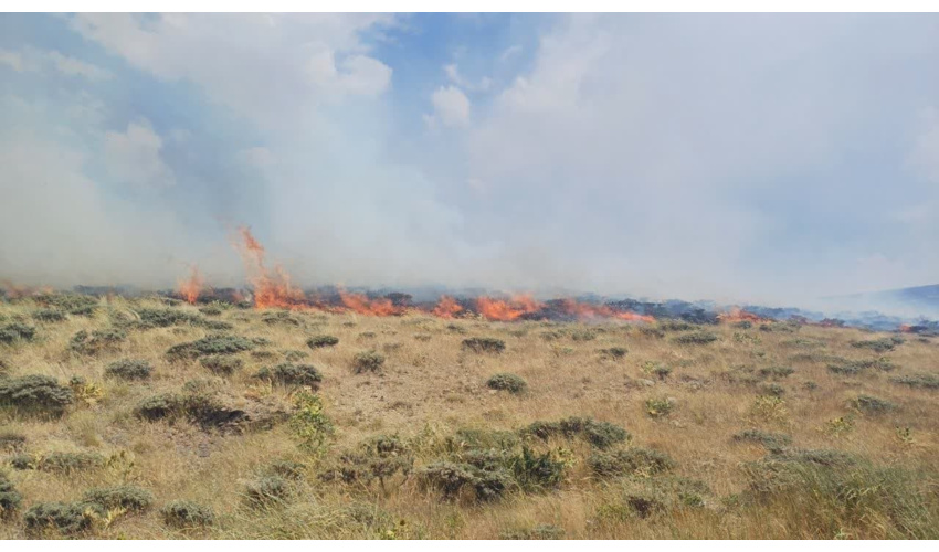   اطفا حریق مراتع ورازانه شهرستان نهاوند 