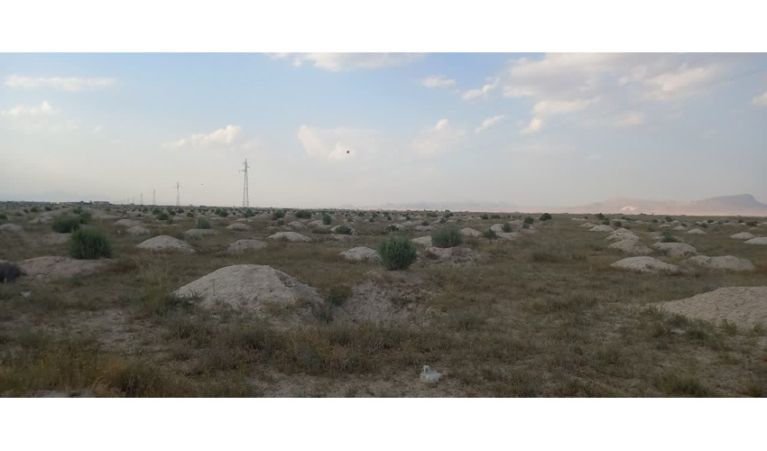 بازدید مسئولین از طرح های بیابان زدایی در کبودراهنگ