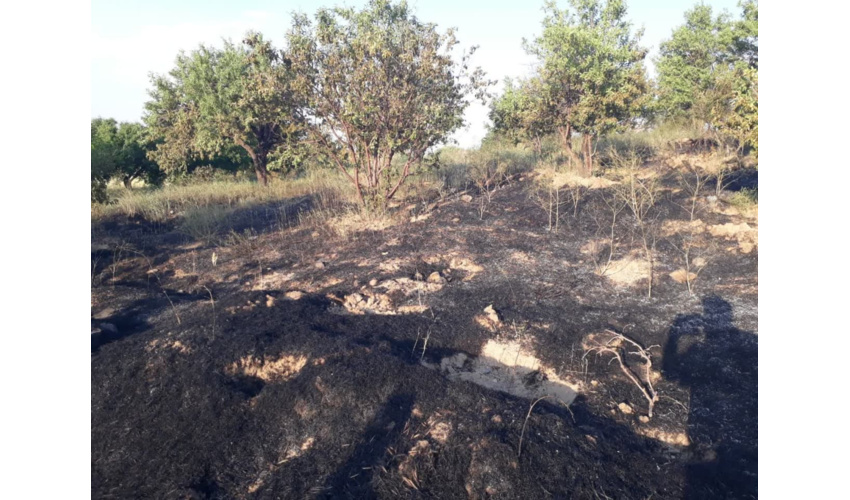 آتش سوزی بخشی از مراتع فسیجان و نورآباد