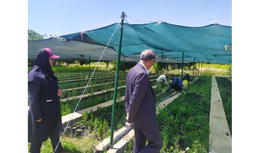 بازدید مدیرکل منابع طبیعی استان همدان از نهالستان قدس ملایر