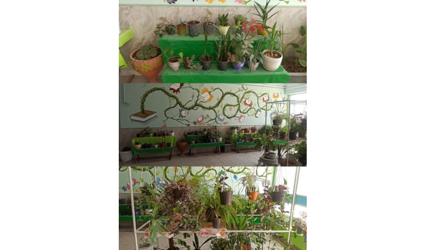 ایجاد گلخانه در مدرسه همیار طبیعت شهید کریمی شهرستان کبودرآهنگ 