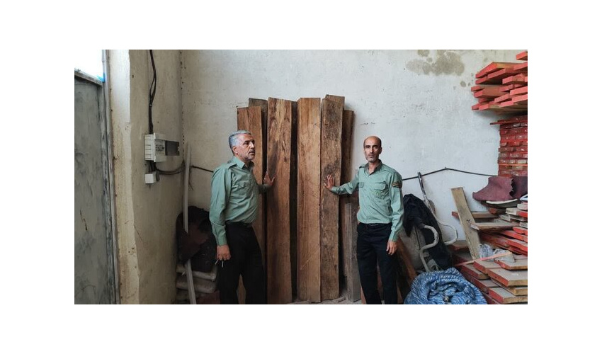 کشف و توقیف ۱۰ مترمکعب چوب قاچاق در ملایر