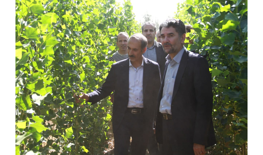 سفر معاون سازمان منابع طبیعی کشور به استان همدان