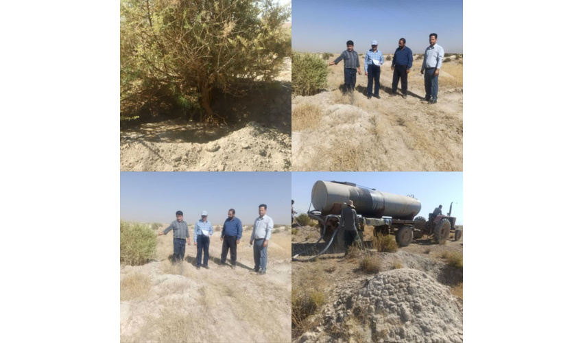 بازدید گروه ارزشیابی سازمان منابع طبیعی و آبخیزداری کشور از کبودراهنگ