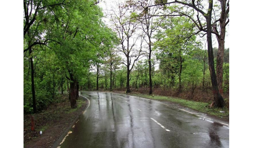  سازمان منابع طبیعی یک سازمان مردمی است