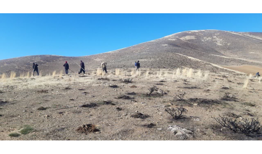 پروژه کپه کاری بذور مرتعی در روستای ده سفید اسدآباد