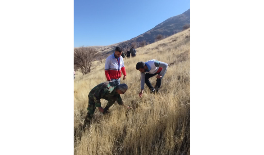 پویش بذرکاری "زاگرسانه"در گیان نهاوند