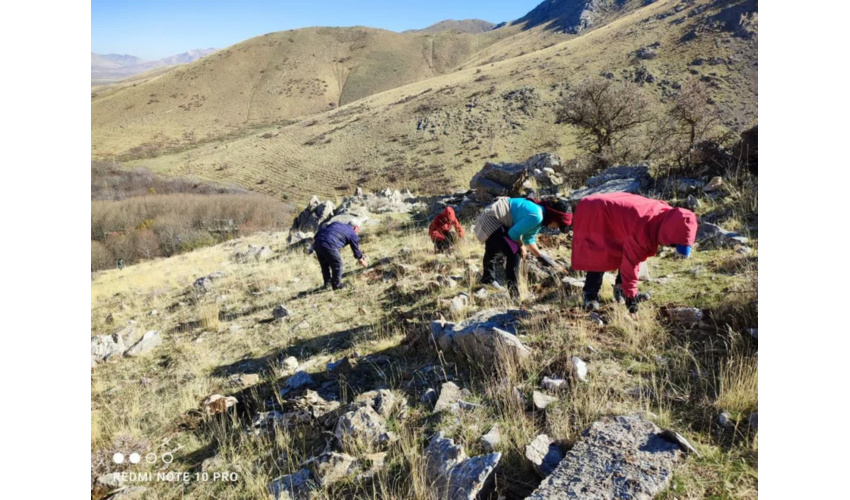  پویش بذرکاری در فارسبان شهرستان نهاوند
