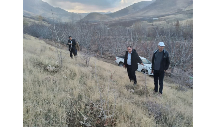  بازدید تیم ارزیابی طرح مردمی کاشت یک میلیارد درخت از پروژه های اجرایی شهرستان نهاوند