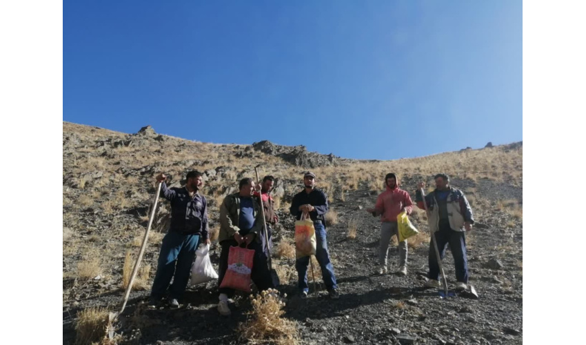 آغاز طرح های بیولوژیکی در روستای ازناو فامنین