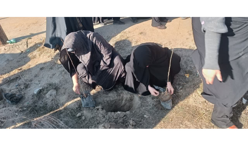  پویش سراسری نهال کاری سایه مادر در روستای عین آباد کبودراهنگ
