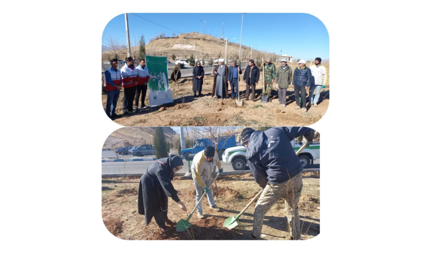  پویش نهال کاری در "سایه مادر" به مناسبت روز مادر در تپه ابوذر نهاوند