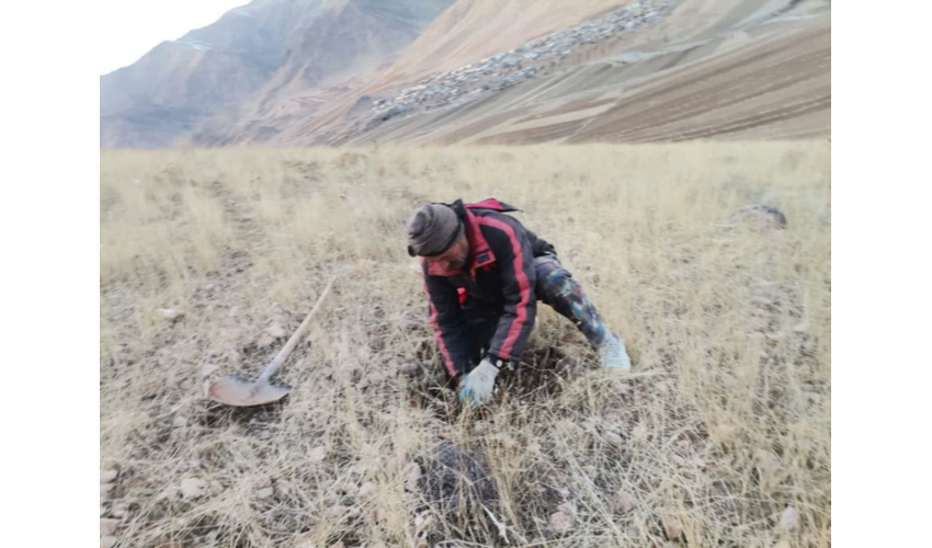 پویش بذرکاری توسط گروهی از مردم طبیعت دوست روستای ده سرخه شهرستان نهاوند
