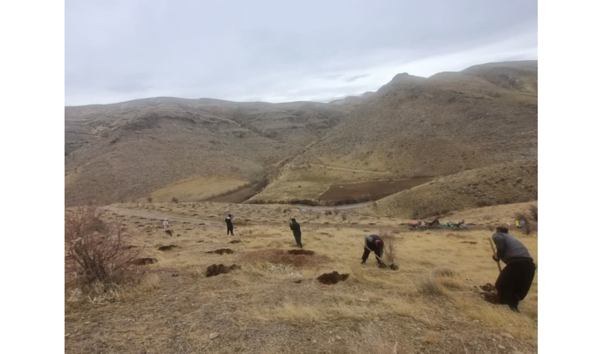 نظارت و کنترل بذرکاری در محدوده طرح صیانت شهرستان نهاوند