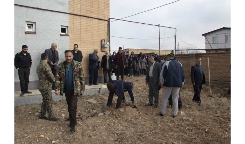 کاشت نهال " بنام پدر" در شهرستان رزن