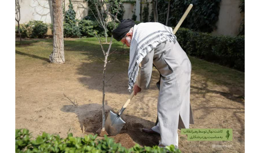 کاشت درخت توسط رهبر انقلاب اسلامی همزمان با روز درختکاری
