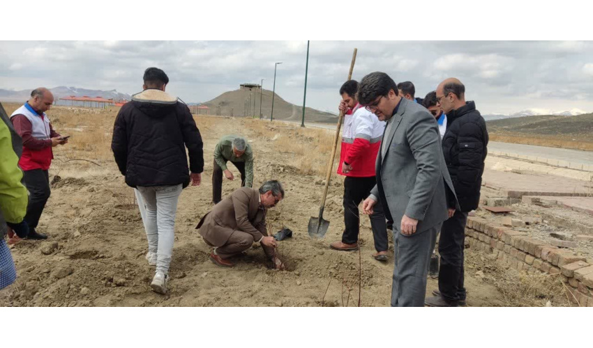  درختکاری در محوطه ارگ باستانی نوشیجان