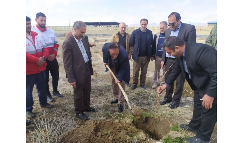 کاشت ۶۰۰  اصله نهال در شهرک صنعتی اسدآباد