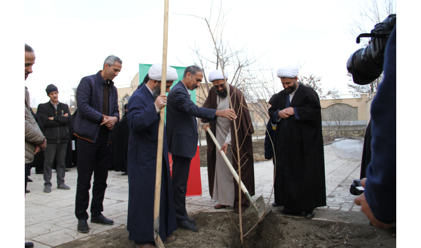 دعوت امام جمعه همدان از هموطنان برای همراهی در طرح مردمی کاشت یک میلیارد درخت