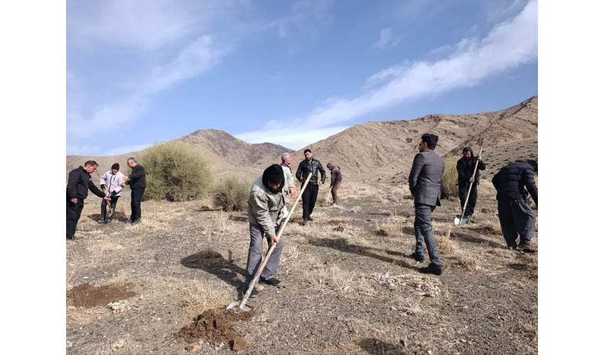 بذر امید در بام ملایر؛ آغاز طرح بذر کاری ۴۰ هکتاری برای تقویت پوشش گیاهی با ارژن و بادامک