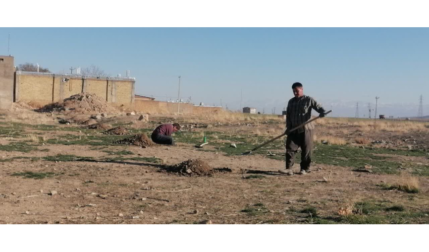 حفر چاله‌های کاشت نهال با مشارکت دهیار و اهالی روستای بره‌فراخ نهاوند