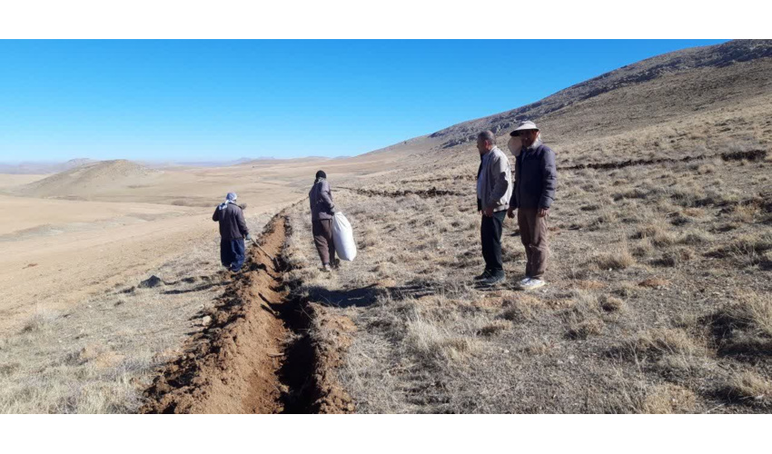 اجرای پروژه بذرکاری در اراضی ملی روستای قراکند اسدآباد