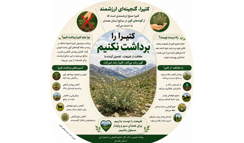 اینفوگرافی کتیرا،گنجینه ای ارزشمند