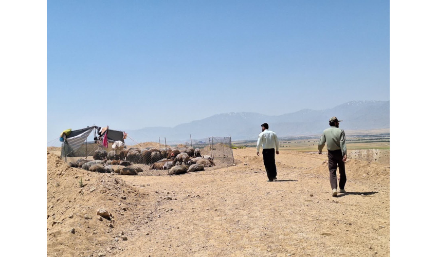 گشت‌زنی در روستای چغایی ملایر برای ساماندهی و اخطار به عشایر غیر مجاز