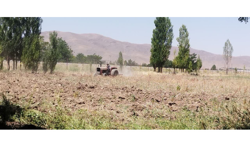آغاز آماده‌سازی عرصه کاشت در نهالستان قدس ملایر