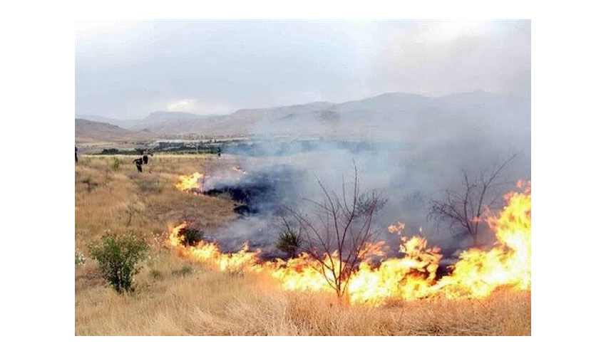مهار آتش‌سوزی مراتع روستای قلی‌آباد کبودرآهنگ با مشارکت همیاران طبیعت و نیروهای منابع طبیعی